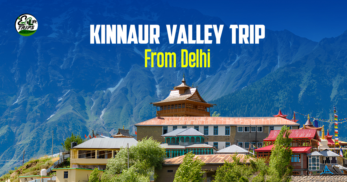 Kinnaur tour package from Delhi